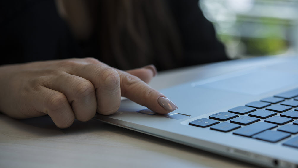 PC & Peripherals TouchPad, TouchStyk, Fingerprint TrackPad Synaptics